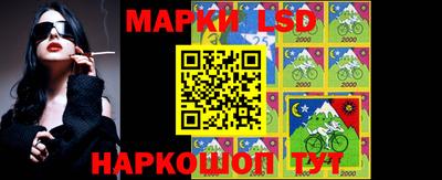 стаф Тара