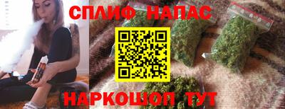 стаф Тара