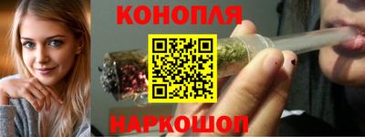 мдпв Татарск