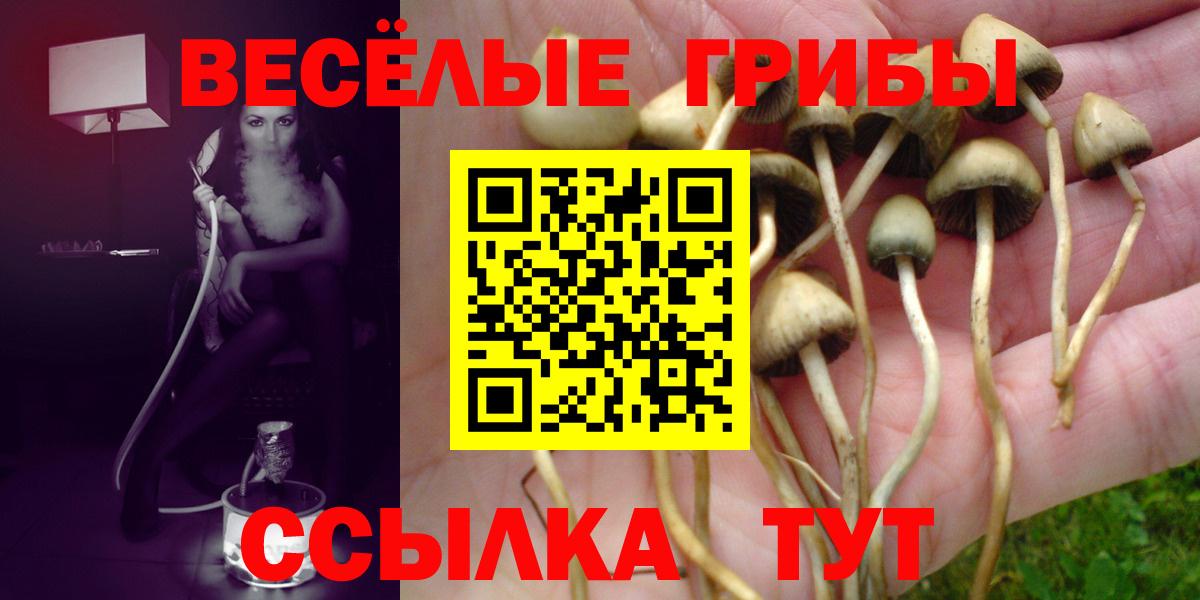 Псилоцибиновые грибы MAGIC MUSHROOMS  Вход с VPN  Псилоцибиновые грибы Magic Shrooms  Нефтекамск 